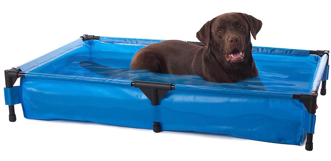 Eight Products to Keep Your Dog Cool This Summer